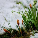 Бүгін еліміздің басым бөлігінде тұрақсыз ауа райы болады