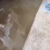 Семейде әкімдіктің әрекетсіздігінен үйлерді су басты