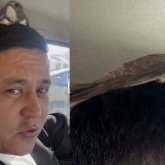 «Бақыт құсы қонды»: жүргізушінің басына қонған құс жұртты таңқалдырды (ВИДЕО)