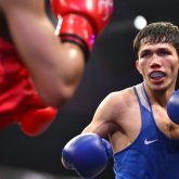 Санжар Тәшкенбай Азия чемпионатында нокдаунға түсті