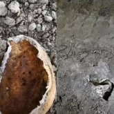 ШҚО-да сүйек шашылған жерге аурухана салып жатыр: Тұрғындар шошыды