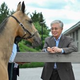 Ақниет және Бөрте: Тоқаев асыл тұқымды құлындарға есім берді