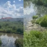 1,5 миллиард теңге суға кетті ме? Ақмола облысындағы нәжіс Есілге жайылып жатыр