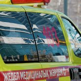 Қарағандыда ағаш бұтағы құлап, 5 жастағы бала қаза тапты