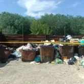 Жамбылда жаңа туған сәбиін қоқысқа тастап кеткен әйел ұсталды