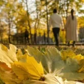 Еліміз бойынша 11 қыркүйекке арналған ауа райы болжамы