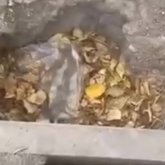«Жөнделді» деген шұңқыр қайта опырылды: Теміртауда тұрғындар тротуардың жағдайына наразы