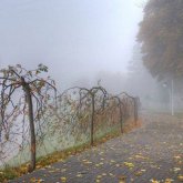 21 қыркүйекте бірнеше өңірде тұман, найзағай, жел күтіледі