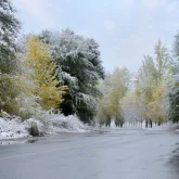 Оңтүстікте үсік, солтүстікте қар: 7 қазандағы ауа райы тұрғындарды әбігерге салады