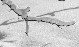 Қар, көктайғақ: Елдің басым бөлігінде қолайсыз ауа райына байланысты ескерту жасалды