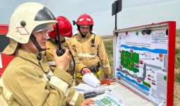 Орман мен дала өрттері: Қазақстанда алдын алу шаралары күшейтілді