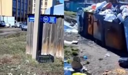 Көкшетау қоқысқа тұншығып бара ма: тұрғындар дабыл қағып отыр