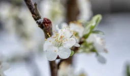 Мамырдың алғашқы демалысында ауа райы қандай болады?