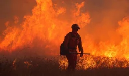 Шахтинсктегі гараждардың бірінде өрт шығып, жасөспірім көз жұмды
