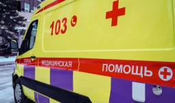 Шу ауданында 2 адам кәріз құдығында уланып, ажал құшты
