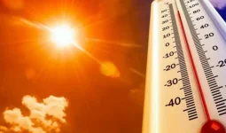 Қазақстанның оңтүстігінде 48 градусқа дейін аптап ыстық болады