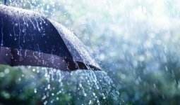 Бұршақ, дауыл: Еліміздің 16 өңірінде дауылды ескерту жарияланды