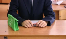 33 мың бала мектепке барады. Астанада бірінші сыныпқа орын неге жетпей жатыр?