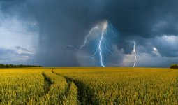 Найзағай, қатты жел: Еліміздің басым бөлігінде дауылды ескерту жарияланды