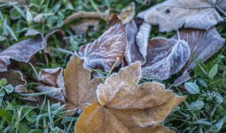 Үсік жүреді: Еліміздің басым бөлігінде дауылды ескерту жарияланды