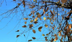 6 қыркүйекте барлық өңірде дауылды ескерту жарияланды