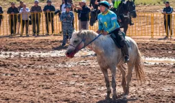 Дүниежүзілік көшпенділер ойындарында көкпаршының әрекеті сынға қалды
