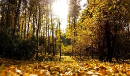Елде жақын күндері ауа райы күрт өзгереді