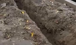 Аялдама орнатамыз деп ағаштарды бүлдірген: Алматы тұрғындары шенеуніктердің жұмысына шағымданды