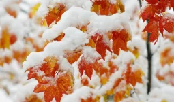 Еліміз бойынша 31 қазанға арналған ауа райы болжамы
