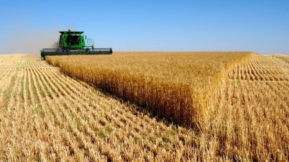 Тасқалалықтар жер баптап, берекеге кенелуде