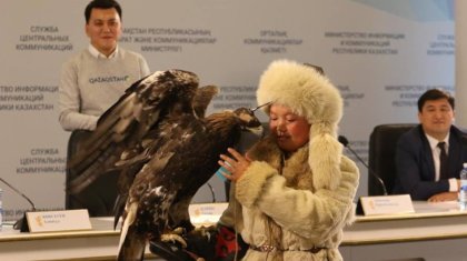 Әлемге танылған бүркітші қыз Айшолпан Қазақстанда деректі фильмге түспекші (ВИДЕО)