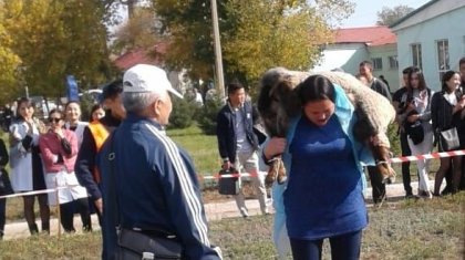 Семейде қойды 111 рет көтерген бойжеткен жұртты таң қалдырды