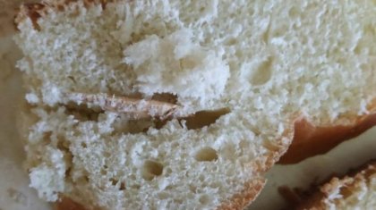 Қостанайда нанның ішінен тағы жаңқы шықты