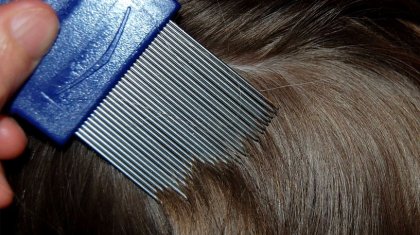 Алматы облысында қызының шашындағы битін тазаламақ болған әйел, оны өлтіріп алды