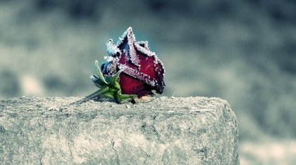 Дінмұхаммед Қонаевтың қарындасы өмірден озды