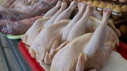 Алматыдағы дүкендерде сальмонелла бактериясы бар тауық еті анықталды
