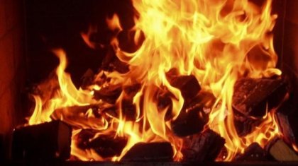 Өзбекстанның азаматы тәжікстандықтың басын кесіп, пешке жағып жіберген