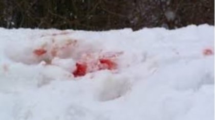 Первоклассница выпала из окна школьного кабинета в Караганде