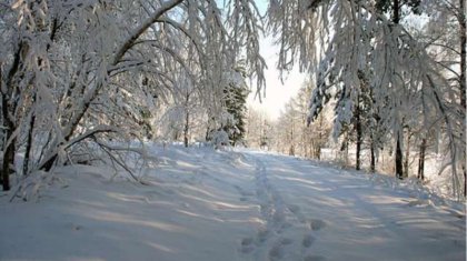 Прогноз погоды в Казахстане на 18 февраля
