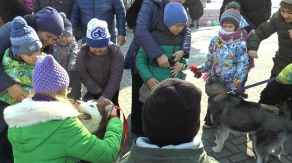 Особенных детей в Алматы лечат при помощи общения с собаками