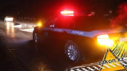 Мужчину сбили насмерть на трассе Алматы-Астана