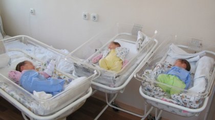 Жаңақорған ауданында үшем өмірге келді