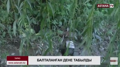 Таразда 80 жастағы әженің бөлшектелген денесі табылды (ВИДЕО)