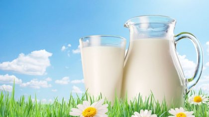 Сұранысқа ие отандық сүт өнімінен бактерия анықталды