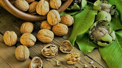Тәулігіне 7 жаңғаққа дейін жеп тұрыңыз - маман кеңесі