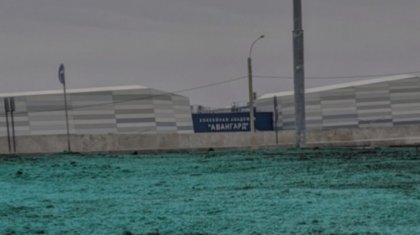 Тоқаев пен Путиннің келуін күткен омбылықтар жерді жасыл түске бояп тастаған