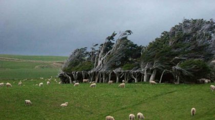 Неміс миллионері өзінің жеріне қоныстанатын адамдар іздеуде