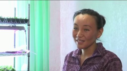 ШҚО тұрғыны үйінің кіреберісі мен бір бөлмесіне 12 мың түп гүл отырғызған (ВИДЕО)