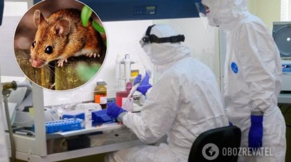 Қос көршімізде - қос вирус: Ресей хантавирус дерті бойынша әлемде 2-орынға шықты