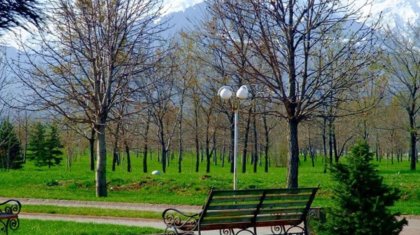 Алматыда жасыл желектерді суару жұмыстары күшейтілді